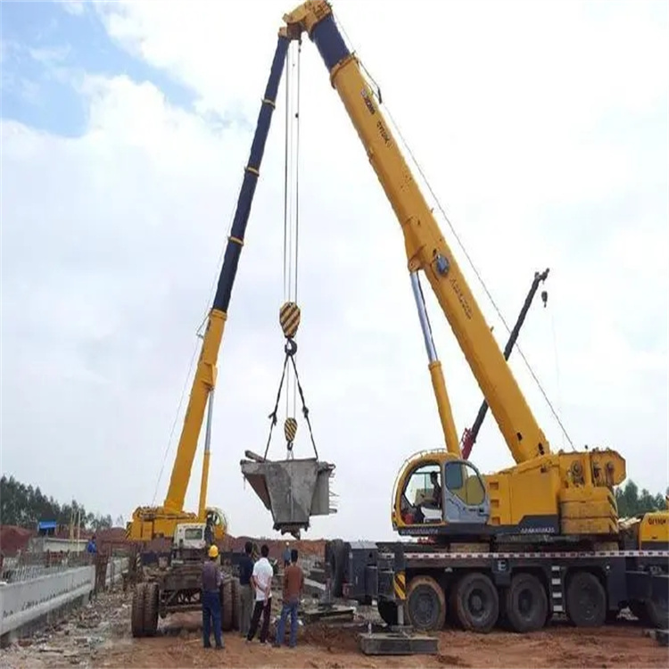 沙田镇小型吊机出租电话|厂房设备吊装方案|24小时服务覆盖